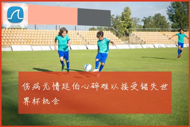 伤病无情廷伯心碎难以接受错失世界杯机会